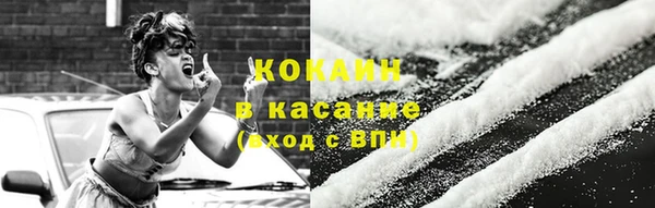 гашик Белокуриха
