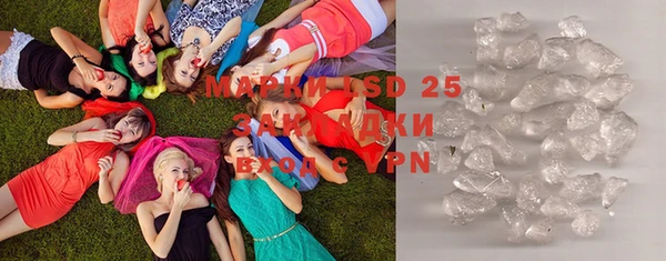 прущие грибы Богданович