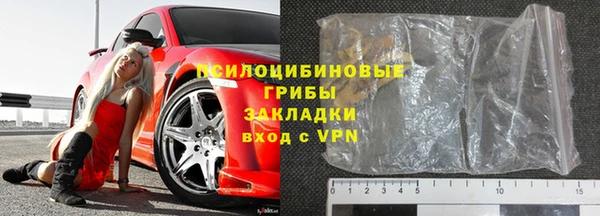 прущие грибы Богданович
