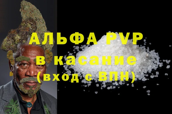 прущие грибы Богданович