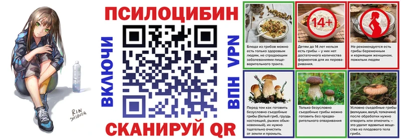 Галлюциногенные грибы Psilocybine cubensis Венёв